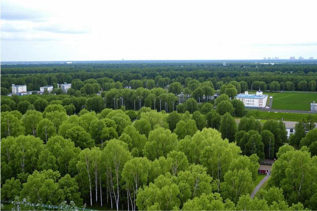 Как правильно выбрать и оформить земельный участок в Подмосковье