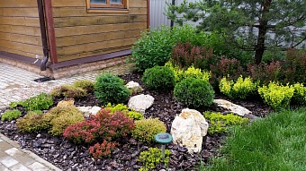 Уход и обслуживание рокария